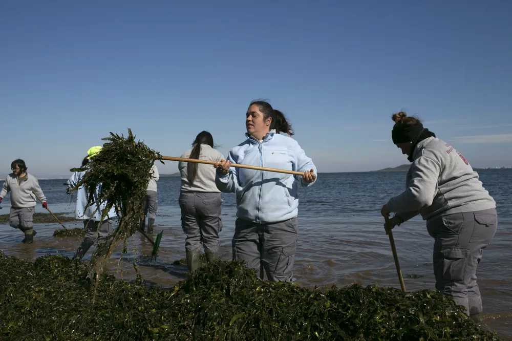 El Mar Menor, una laguna salada que lucha por sobrevivir